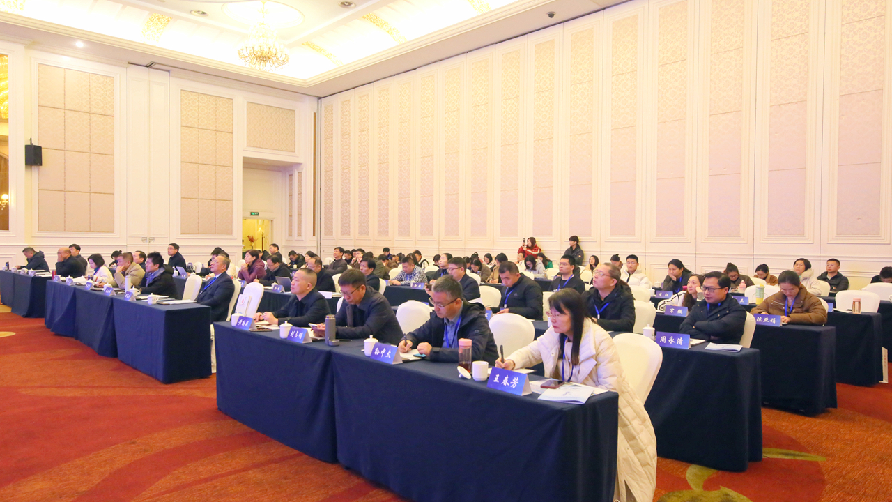 九游app：安庆职业技术学院承办中国统计教育学会职业教育分会2024年数据产业与统计发展研讨会(图2)