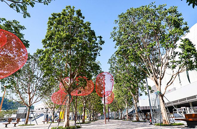 九游体育：五种“底色”x中国羽毛球大师赛深圳市体育中心放光彩(图12)