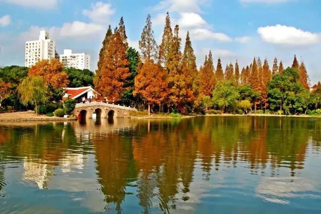 跟着地图去打卡｜老场馆激发新活力——杨浦区体育活动中心(图10)