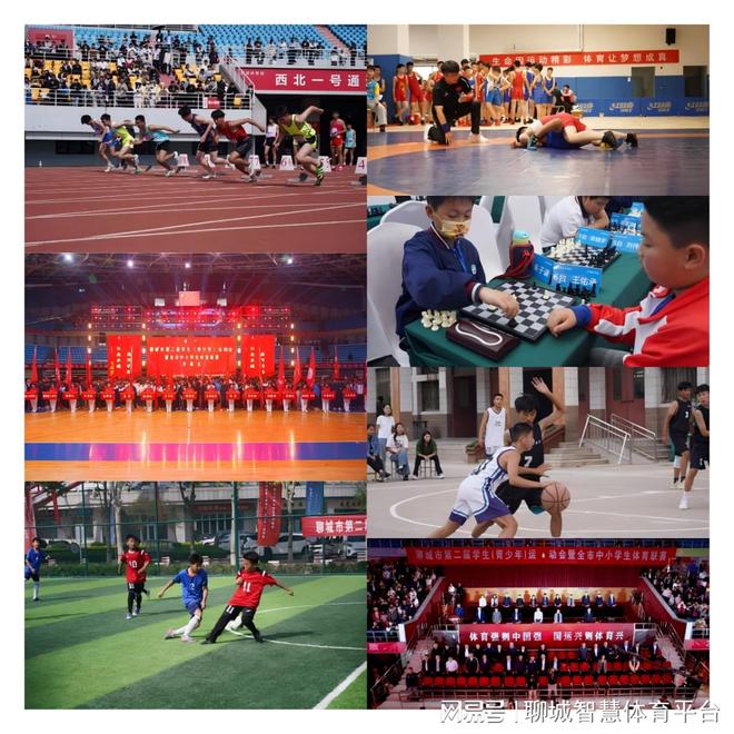 2024年终盘点：这些热点大事赋能聊城体育强市新篇章