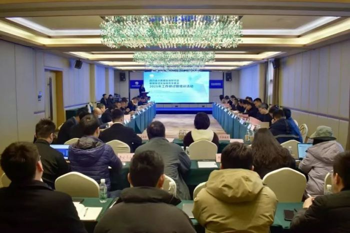 四川省大数据发展研究会举办数据集团发展服务专委会2025年工作研讨暨培训活动