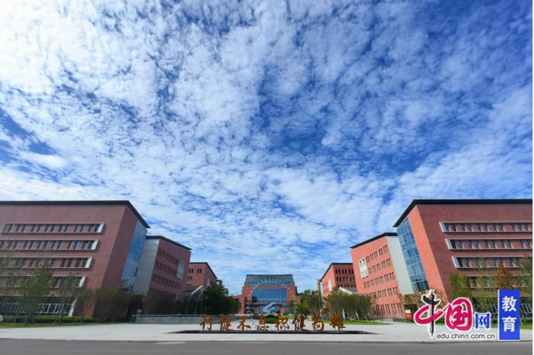 九游体育：凝聚新力量奋进新征程 成都体育学院举办2024年新进教师专题培训(图7)