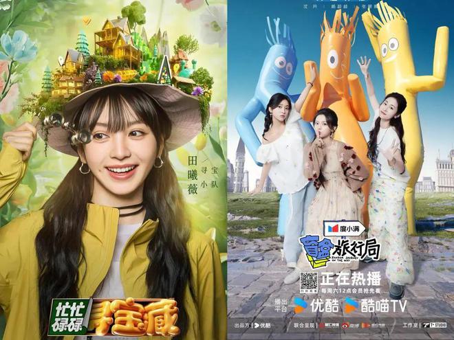 2024年台网综艺节目三大题材创作新象(图4)