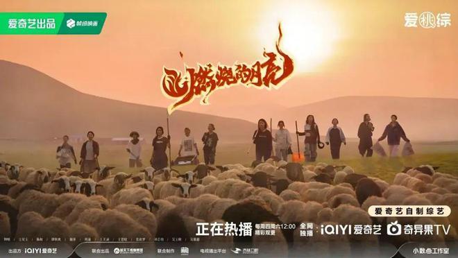 2024年台网综艺节目三大题材创作新象(图5)