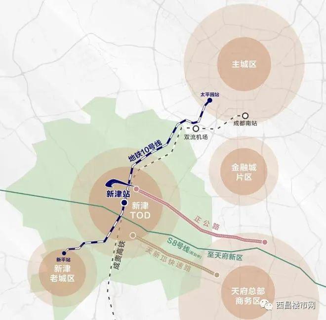 阳光体育 - 阳光体育下载手机版V(图4)