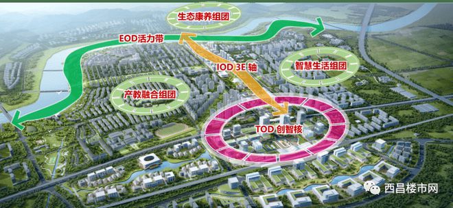 阳光体育 - 阳光体育下载手机版V(图10)