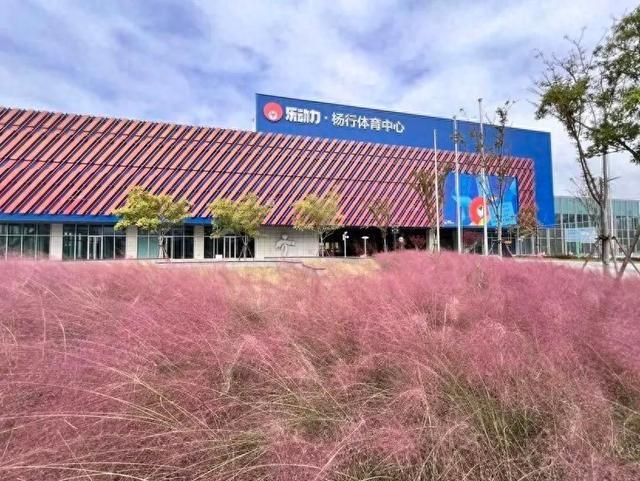 市民身边的体育设施更智能宝山运动爱好者有福这家区级体育综合体有啥新意(图4)