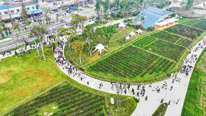 畅想暖冬·2025消费新观察 成都自主IP赛事孵化大未来(图4)