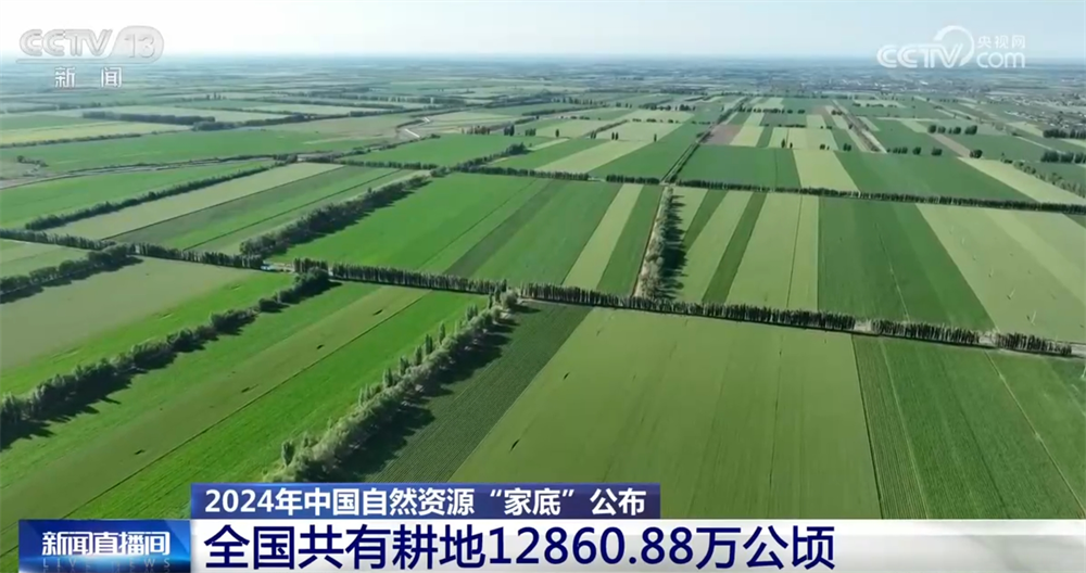 基础稳、韧性强、潜力大 多维数据梳理2024年中国自然资源“家底”