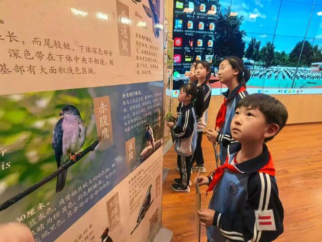 动起来！中轴线亲子跑校园体育节…… 一周校园新鲜事(图8)