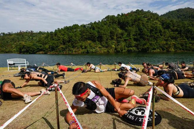 禹唐观察 禹唐体育2025年体育营销市场趋势洞察（国内篇）(图2)