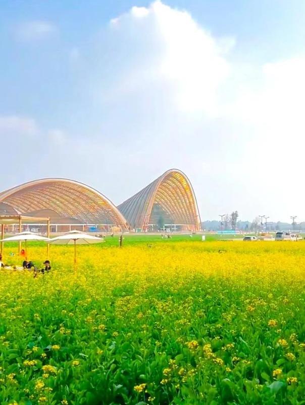 九游官网入口：成都新津助推生活体育 2025全国青少年登山户外运动发展大会报名开启