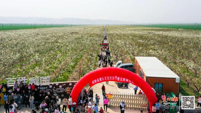 武陟县：打造黄河文化创新高地 推进文旅文创融合发展(图5)