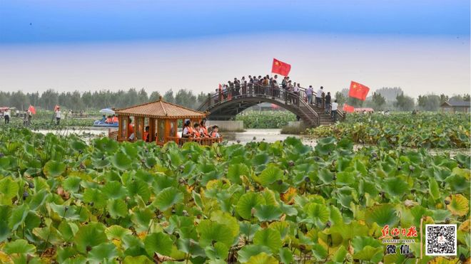 武陟县：打造黄河文化创新高地 推进文旅文创融合发展(图4)