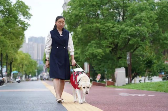 九游体育：贾君婷仙：步履不停从残奥冠军到地方助残工作者的接力之路(图2)