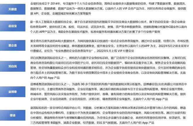 2025-2031年商业大数据服务行业专项调研及投资前景预测分析报告(图4)