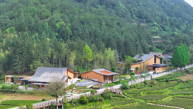 福建南平：科技引领“五个一”产业绘就“生态+”发展新蓝图(图3)