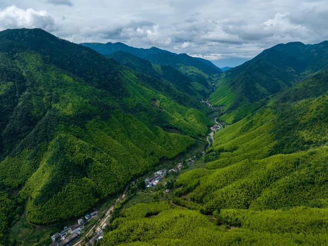 福建南平：科技引领“五个一”产业绘就“生态+”发展新蓝图(图4)