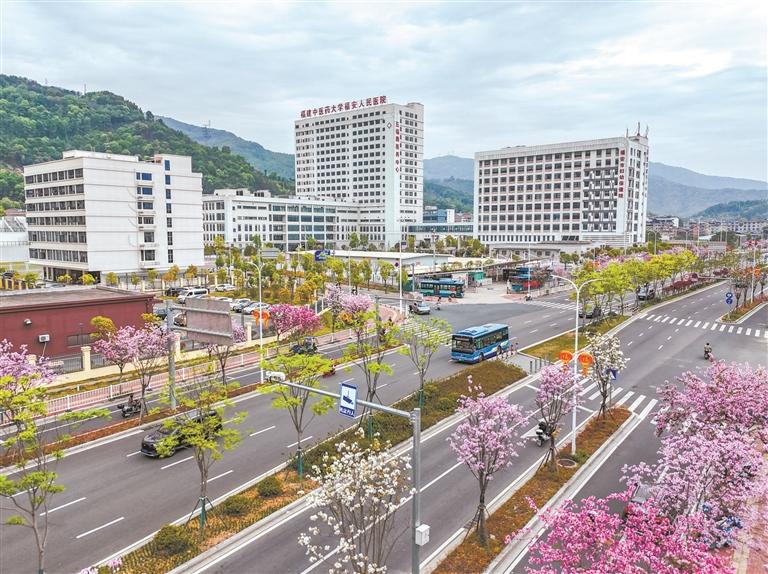 福安：执笔绘民生 点染幸福色(图6)