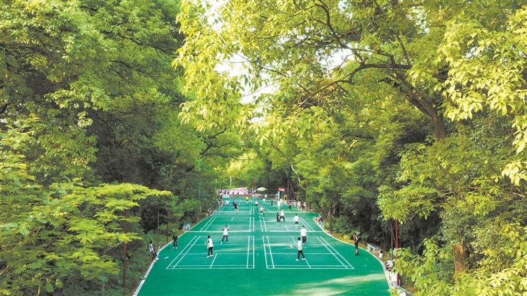 福安：执笔绘民生 点染幸福色(图5)