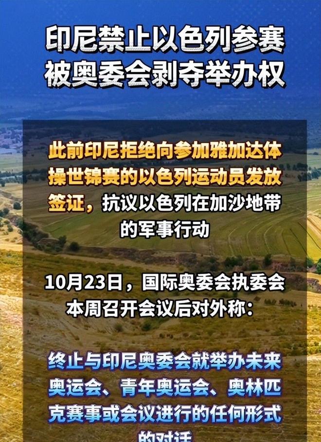 九游app:国际奥委会震怒!印尼因拒签以色列遭全面封杀全球赛事被叫停(图13) 九游app:国际奥委会震怒!印尼因拒签以色列遭全面封杀全球赛事被叫停(图13)
