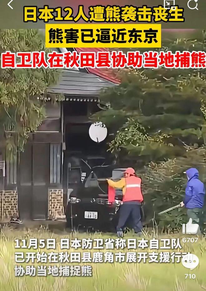 日本熊害赴日徒步慎行；五台山景区限期封控 犀牛说(图1)