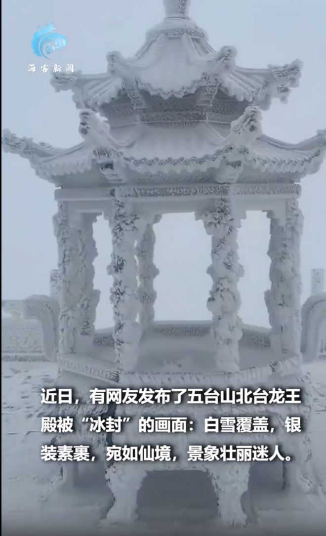 日本熊害赴日徒步慎行；五台山景区限期封控 犀牛说(图8)