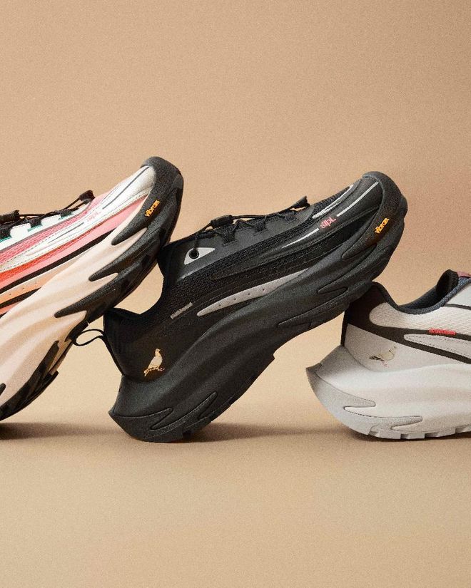 日本熊害赴日徒步慎行；五台山景区限期封控 犀牛说(图18)