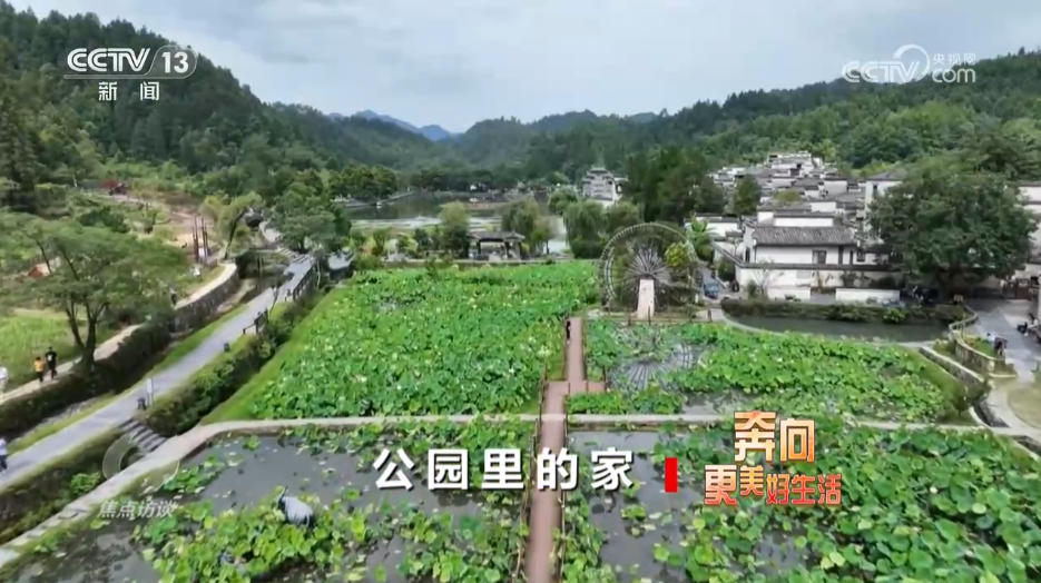 九游体育：焦点访谈｜美丽中国就在你我身边 “公园+”模式让城市空间更有活力(图6)