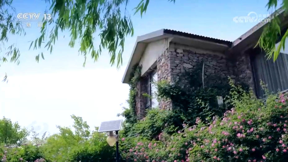 九游体育：焦点访谈｜美丽中国就在你我身边 “公园+”模式让城市空间更有活力(图8)