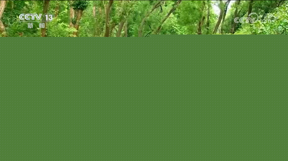 九游体育：焦点访谈｜美丽中国就在你我身边 “公园+”模式让城市空间更有活力(图9)