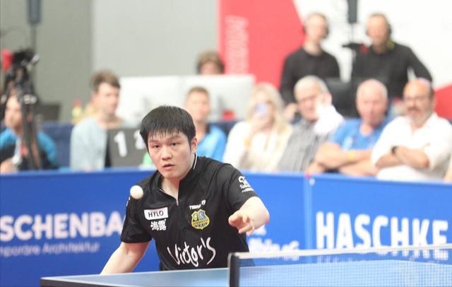 樊振东回归天时已具备人和最起码不能继续给东哥树敌了(图6)