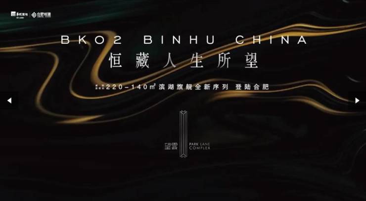 九游官网入口：【合肥商品房成交查询-2026年楼盘详情】滨湖区望雲新房周边配套-学区(图3)