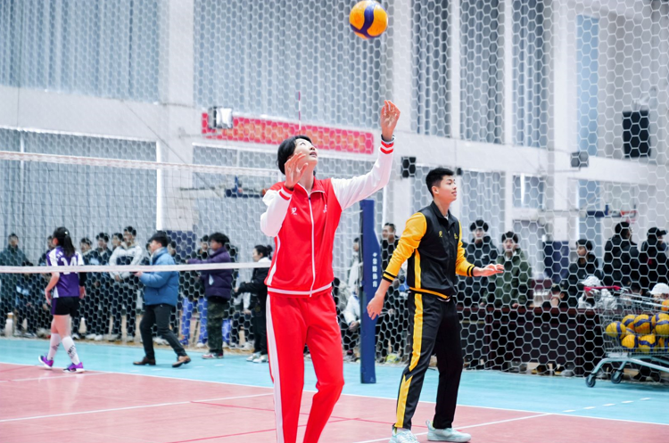 九游体育：一场比赛带火一座城 临沂缘何化身“排球名城”？(图2)