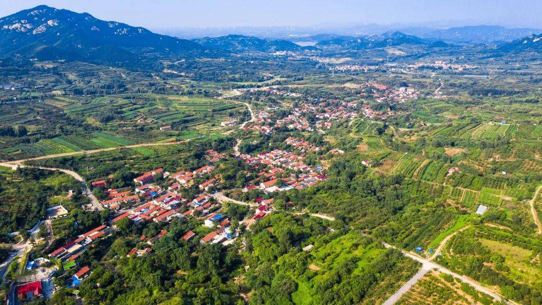 2026年山东省政府工作报告摘登(图7)