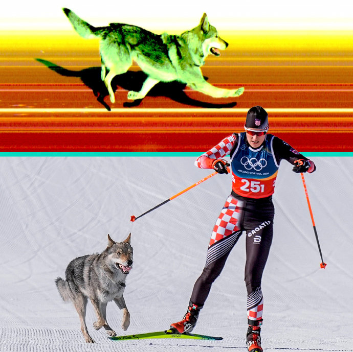 社交媒体上汪星人冲线话题爆火冬奥会如何利用趣味事件增强观众互动与品牌传播？(图1)