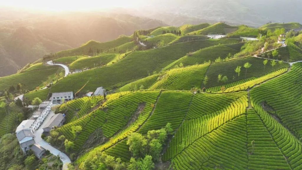 中国民族 【两会访谈】从“硒”引力到“球”聚力：恩施民族团结进步事业展新彩(图2)