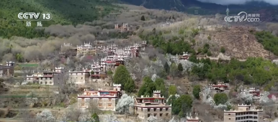 2026春节档超57亿元收官 “电影+”点亮新春文旅消费(图7)