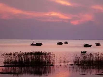 一个人一只手上有40多万个致病菌！合肥人大代表建议这样洗手！涨见识(图5)