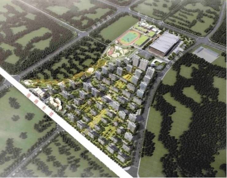 合肥新站区新房【2026特价房信息丨详细解答丨在售户型图丨项目介绍丨在售房源丨周边配套】(图4)