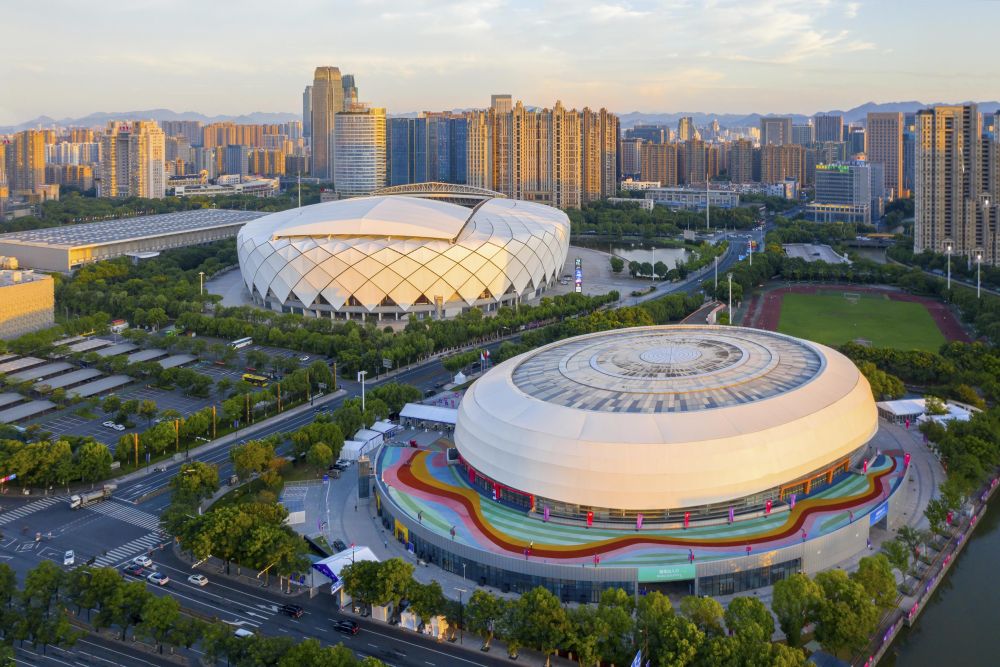 九游app：米兰冬奥会中国体育代表团成立！